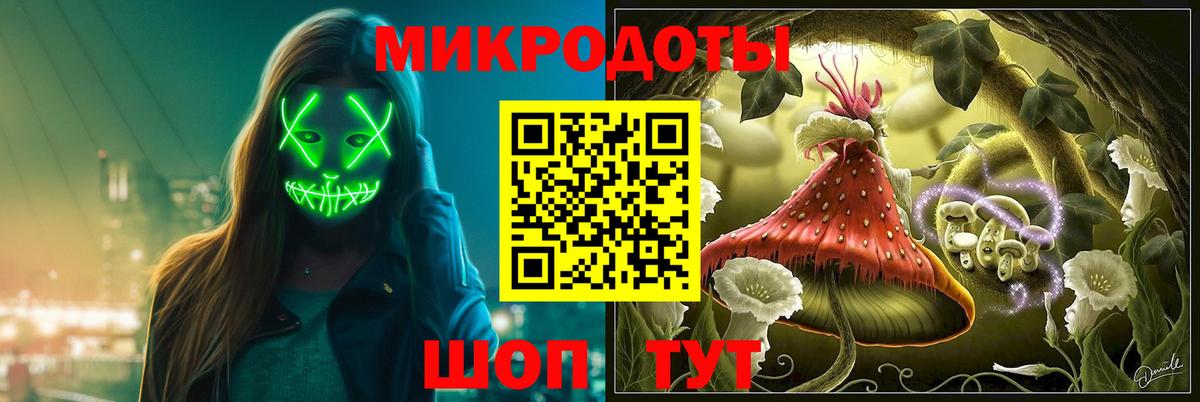 Ачхой-Мартан  Псилоцибиновые грибы Psilocybe  Псилоцибиновые грибы ЛСД  Вход с VPN 